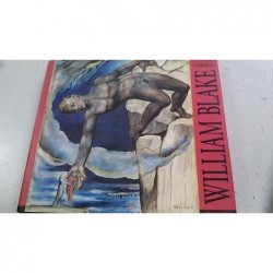 Libro  William Blake    V