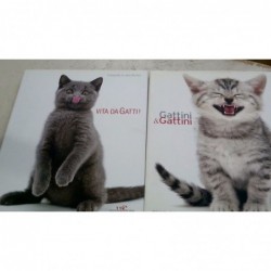 Libro Fotografico "gatti"...