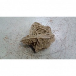 Rosa Del Deserto  1285 Gr    V