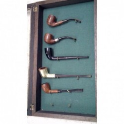 Bacheca Con Collezione Pipe...