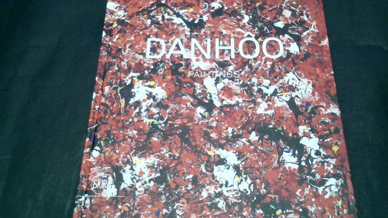 Libro Arte Danhoo Paintings   Skira     V