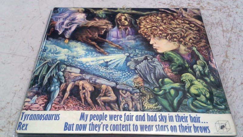 Vinile 33 Tyrannosaurus Rex    Doppio                Busta Non Compresa    V