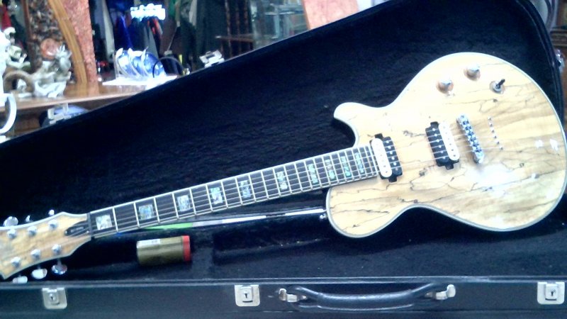 chitarra elettrica michael kelly patriot ltd Edizione Limitata  Con Custodia    V