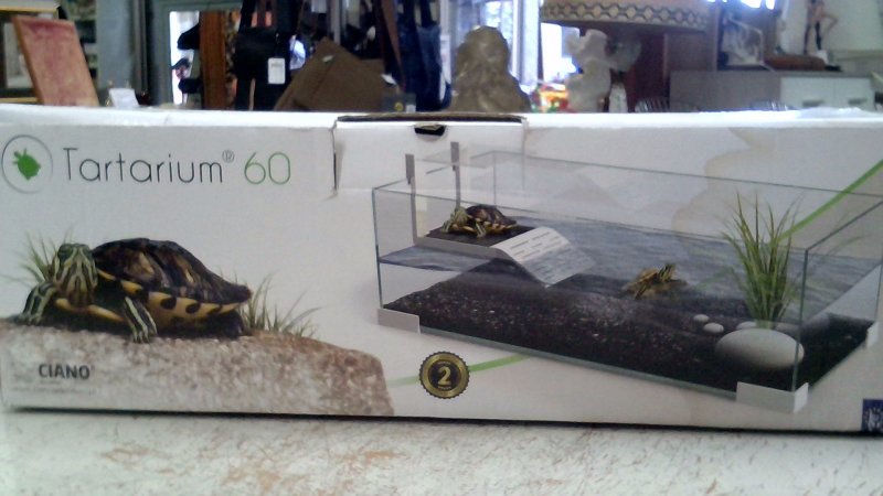 Acquario Per Tartarughe   Tartarium 60    V