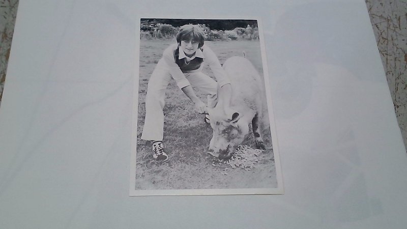 Foto 5