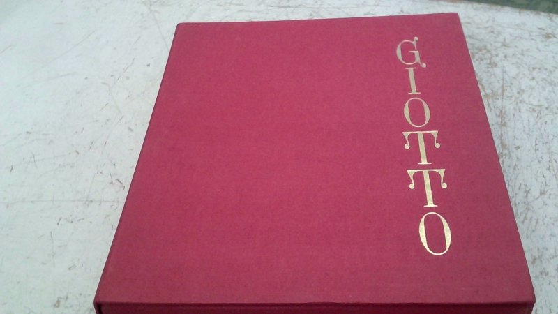 Libro Giotto  E La Sua Bottega      V