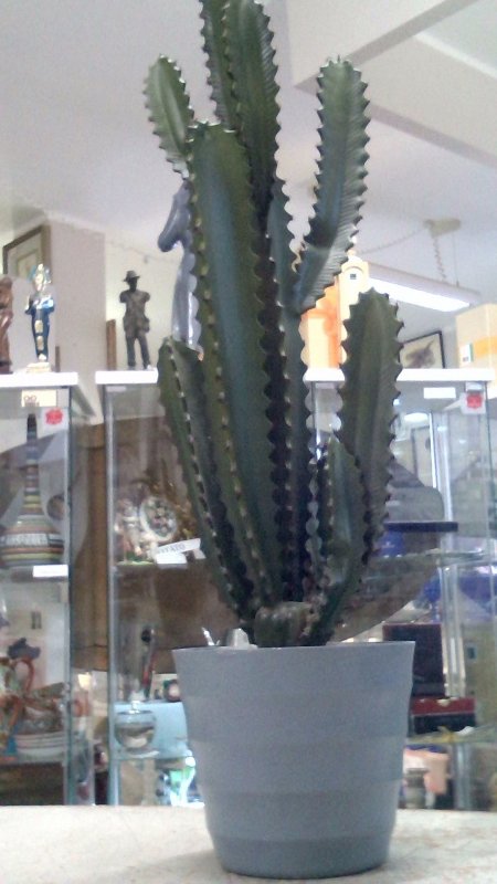 Pianta Grassa Finta 88cm    V
