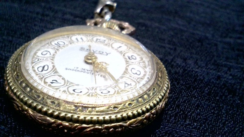 SAVOY 17 JEWELS  SHOCKPROTECTED   Orologio Da Taschino Pendente 