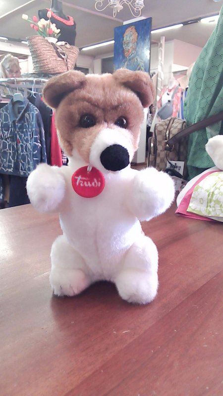 TRUDI JACK RUSSEL K 