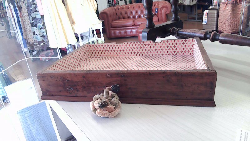 Foto 6
