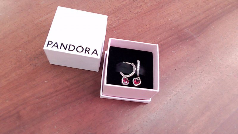 Orecchini Pandora R